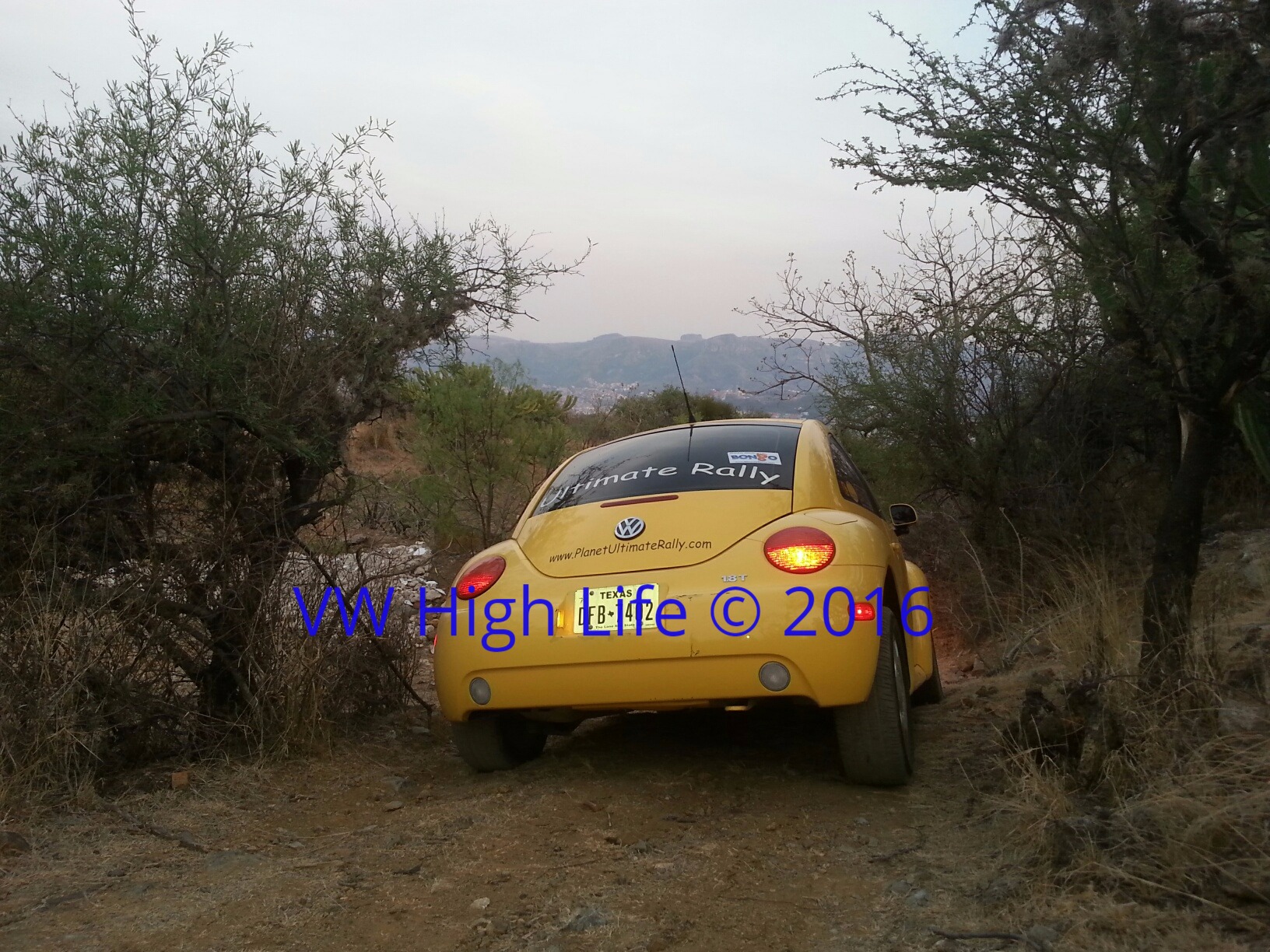 FIRST VW BEETLE MK4 LIFTED IN MEXICO IN 2014. TESTED ON WRC MEXICO TRAILS.